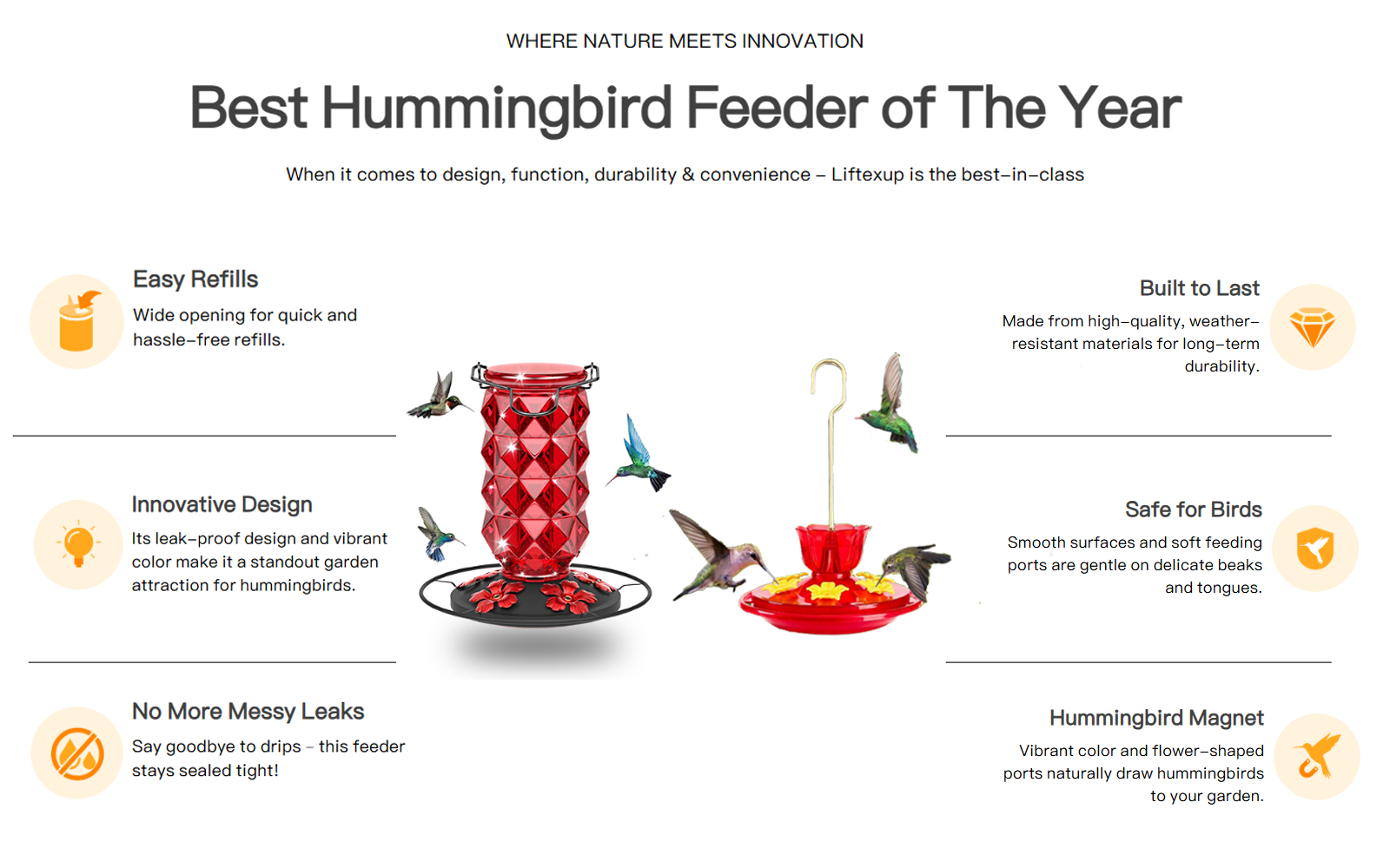 Liftexup™ Hummingbird feeders