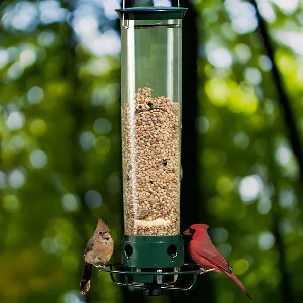 Liftexup Squirrel Proof Bird Feeder