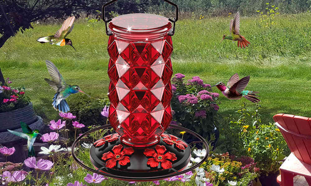 Liftexup™ Hummingbird feeders