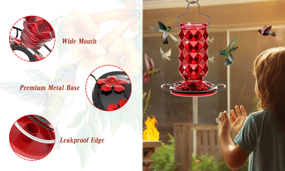 Liftexup™ Hummingbird feeders