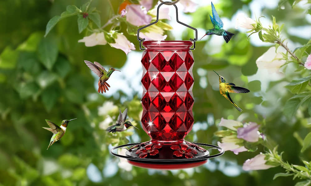 Liftexup™ Hummingbird feeders