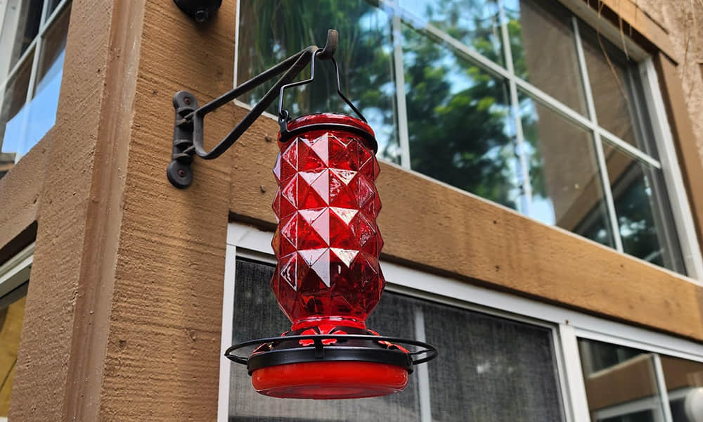 Liftexup™ Hummingbird feeders
