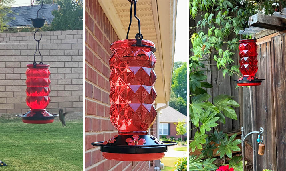 Liftexup™ Hummingbird feeders