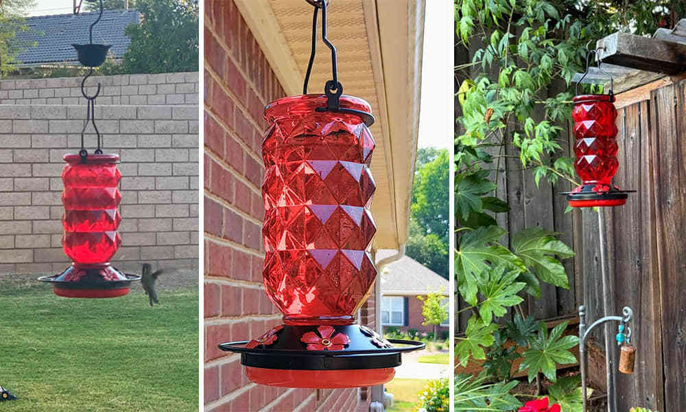 Liftexup™ Hummingbird feeders