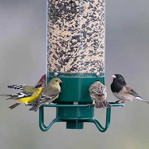 Liftexup Squirrel Proof Bird Feeder