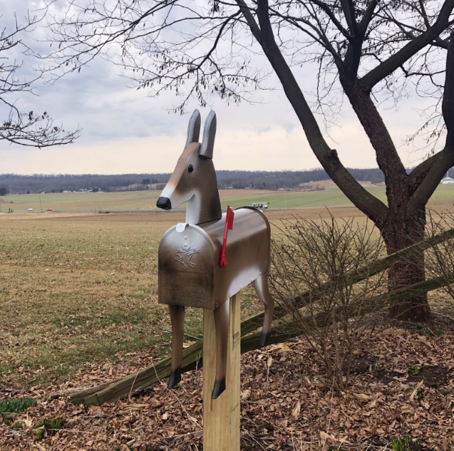 Animal Metal Mailbox Outdoor Products
