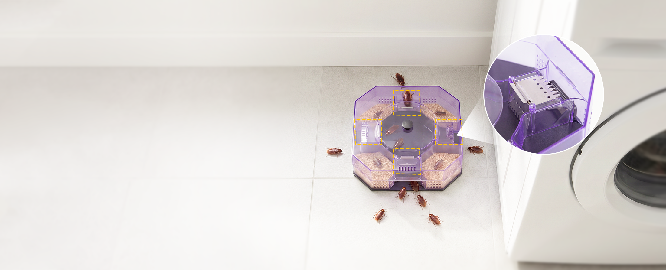 4-Way Entry Clear Lid