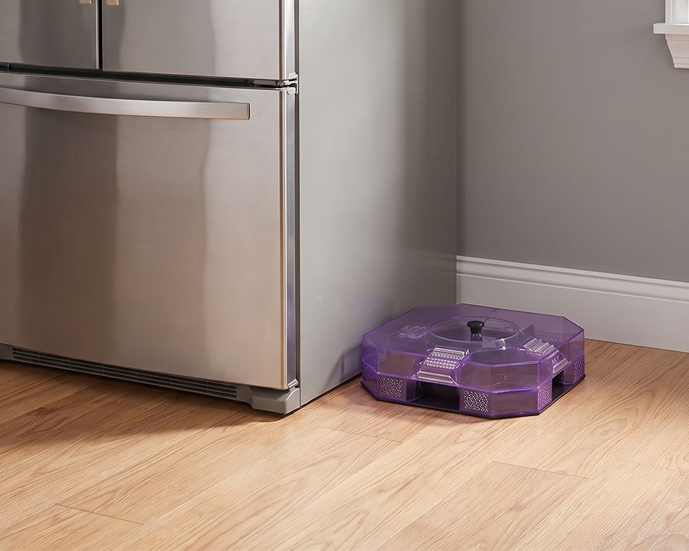 Behind Fridge