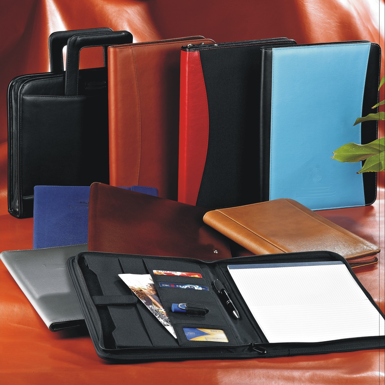 Portfolio & Briefcase-StarryK