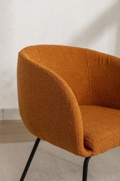 Restaurant Chairs for Dining Room, Upholstered Kitchen Dining Chairs Set of 2, Modern Accent Chairs with Arms