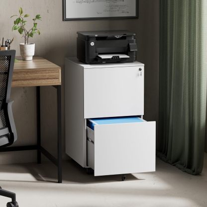 Metal Mobile File Cabinets for Home Office 2 Drawer Filing Cabinet with Lock Rolling Office File Cabinet fits A4/Letter/Legal Size Fully Assembled (White)