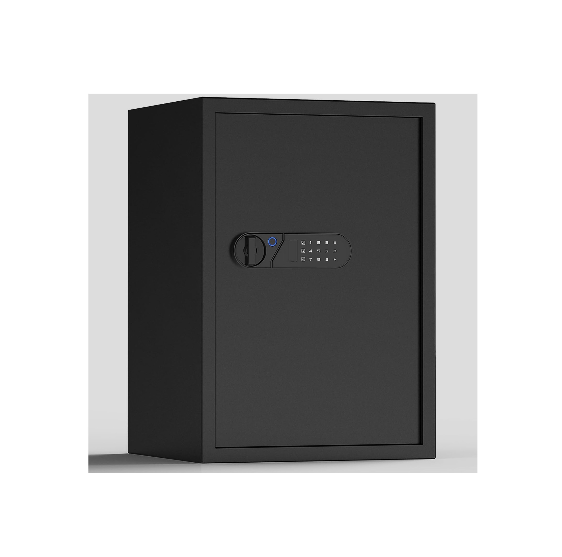Biometric Fingerprint Touchscreen Small Home Security Safe (3.38 Cuft-Fingerprint)