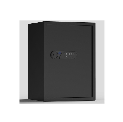 Biometric Fingerprint Touchscreen Small Home Security Safe (3.38 Cuft-Fingerprint)