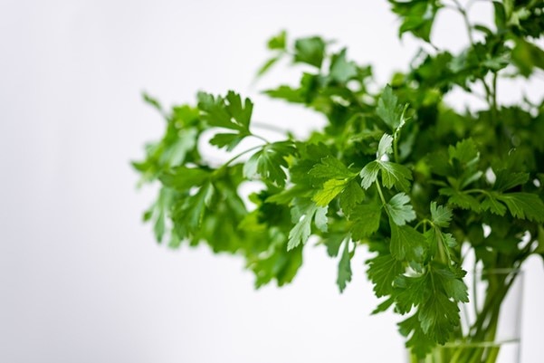 Parsley Denby Pottery