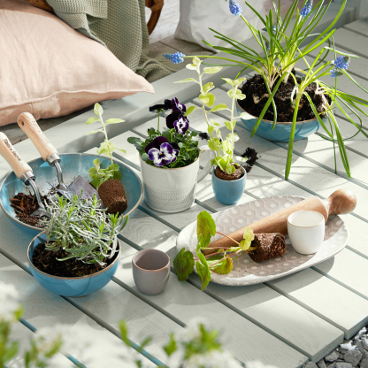 Azure Rimmed Coupe Cereal