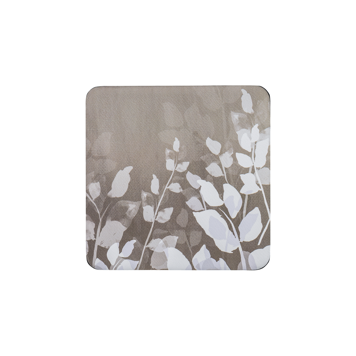Colours Natural Foliage Coasters - Set Of 6 -