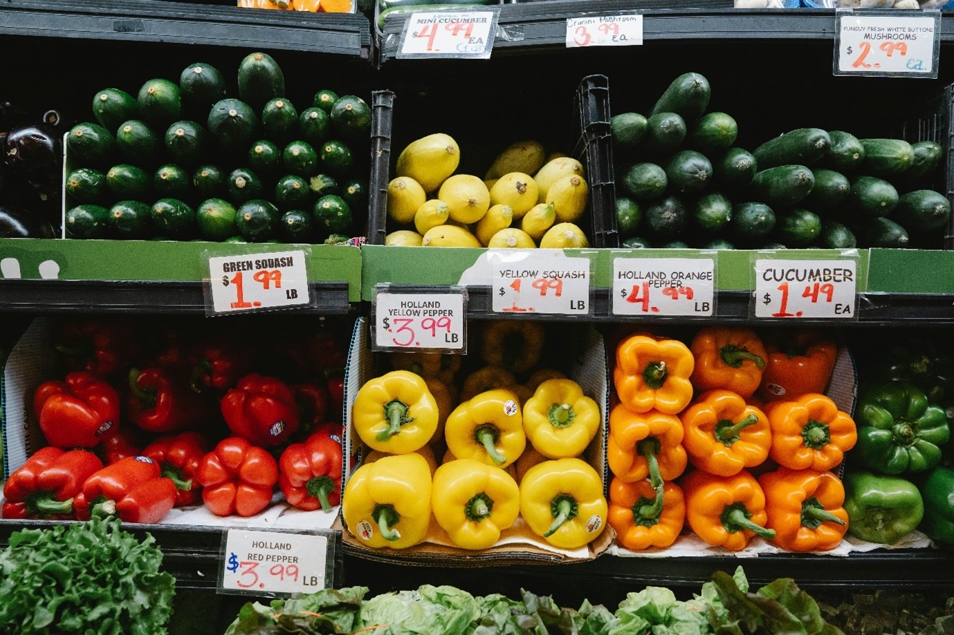 Why is Food Waste a Problem? Denby Pottery