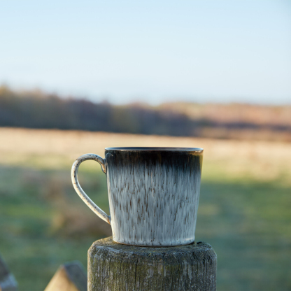 Halo 16 Piece Dinner Set