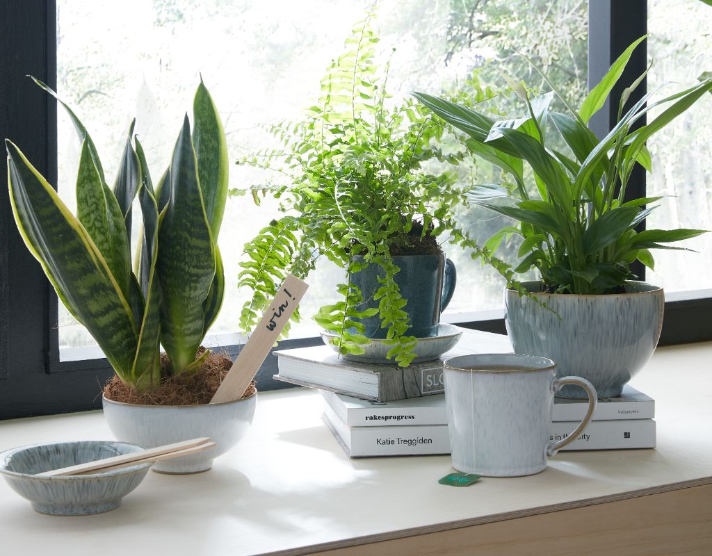Inject some greenery