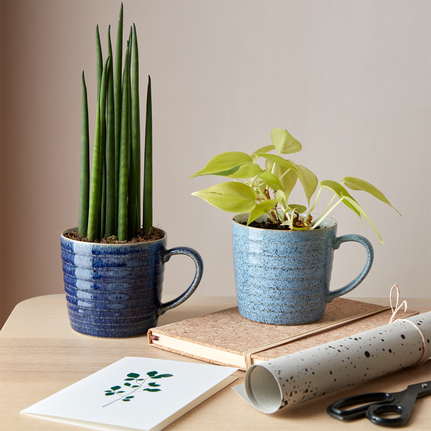 Studio Blue 16 Piece Dinner Set