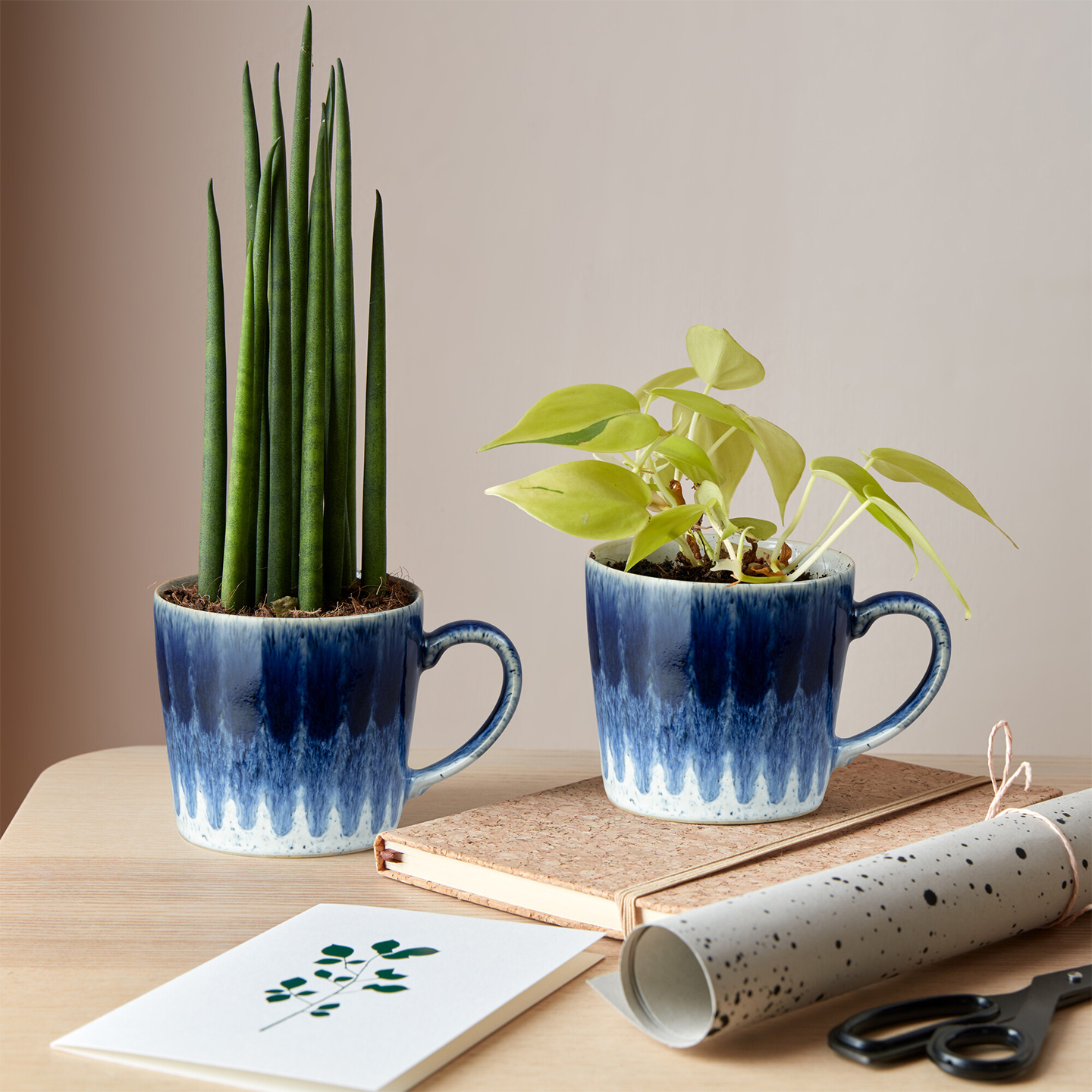 Studio Blue Accent Mugs - Set Of 2 - Thumbnail 5