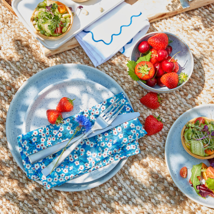 Studio Blue 12 Piece Dinner Set