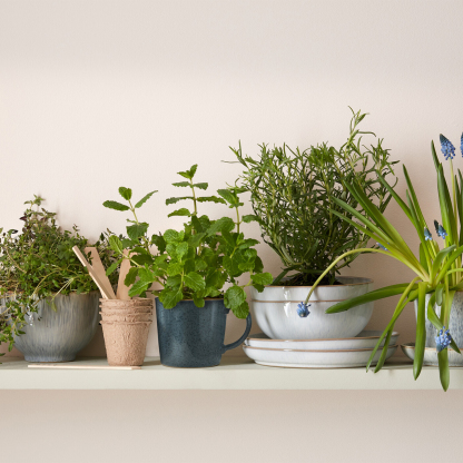White Speckle Cereal Bowls - Set Of 4