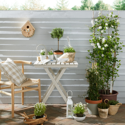 Elements Stone White Coffee Beaker/Mug - Set Of 4