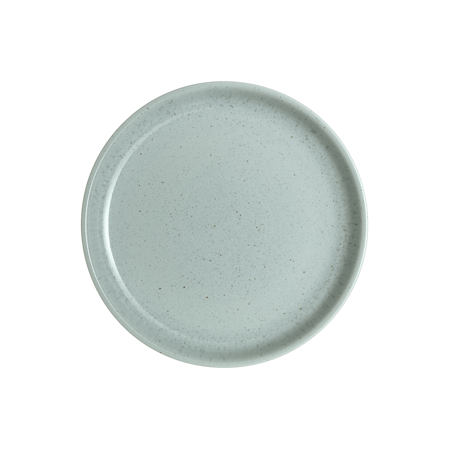 Teal Speckle Coupe Medium Plate -