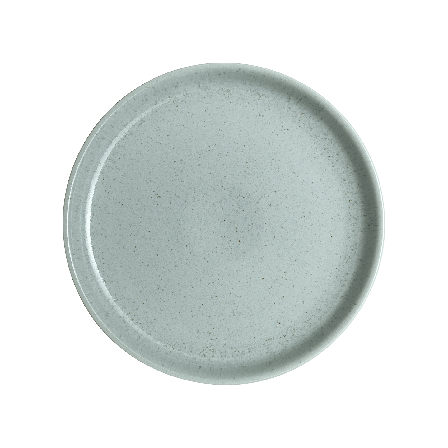 Teal Speckle Coupe Dinner Plate -