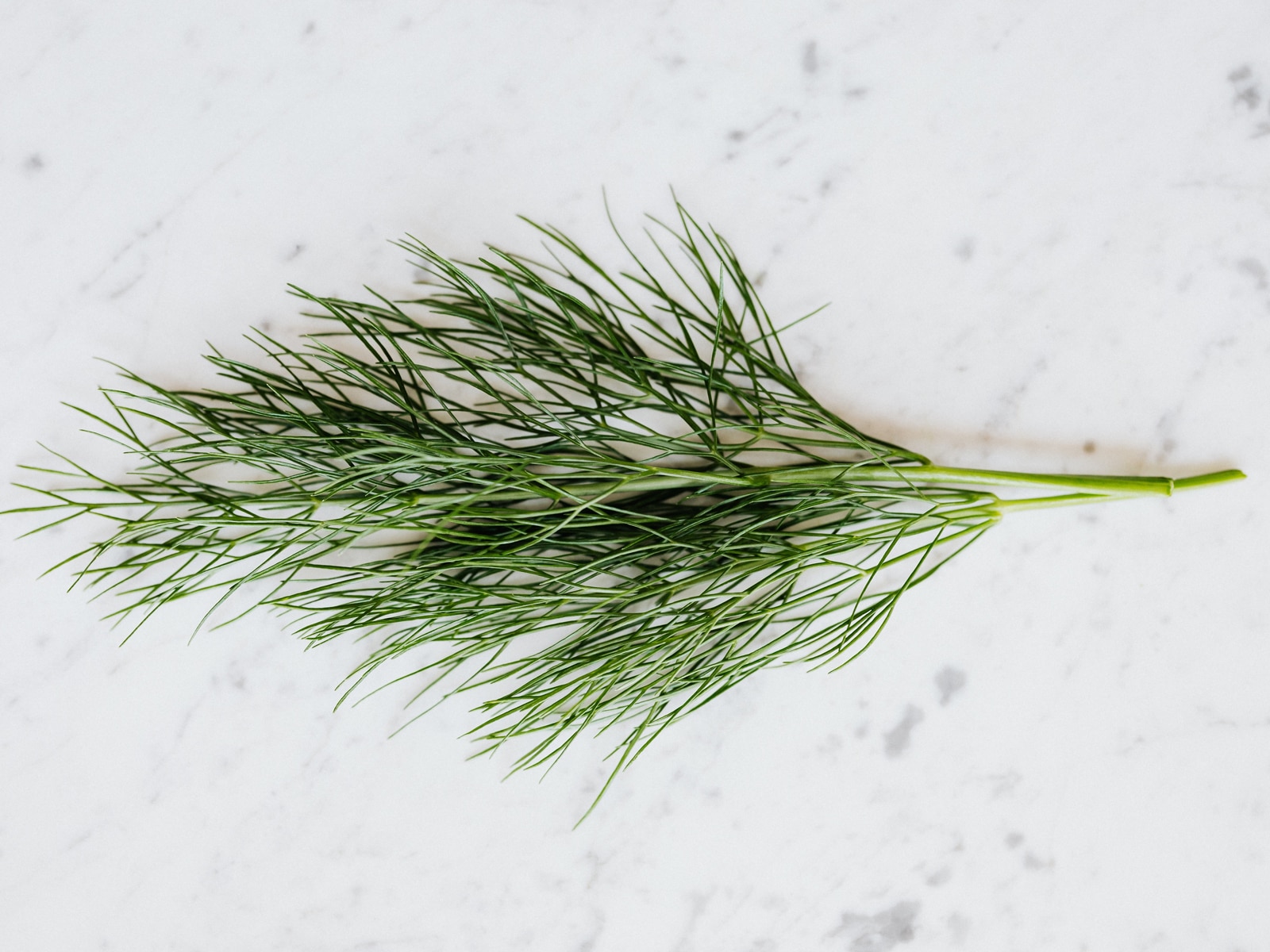 Dill