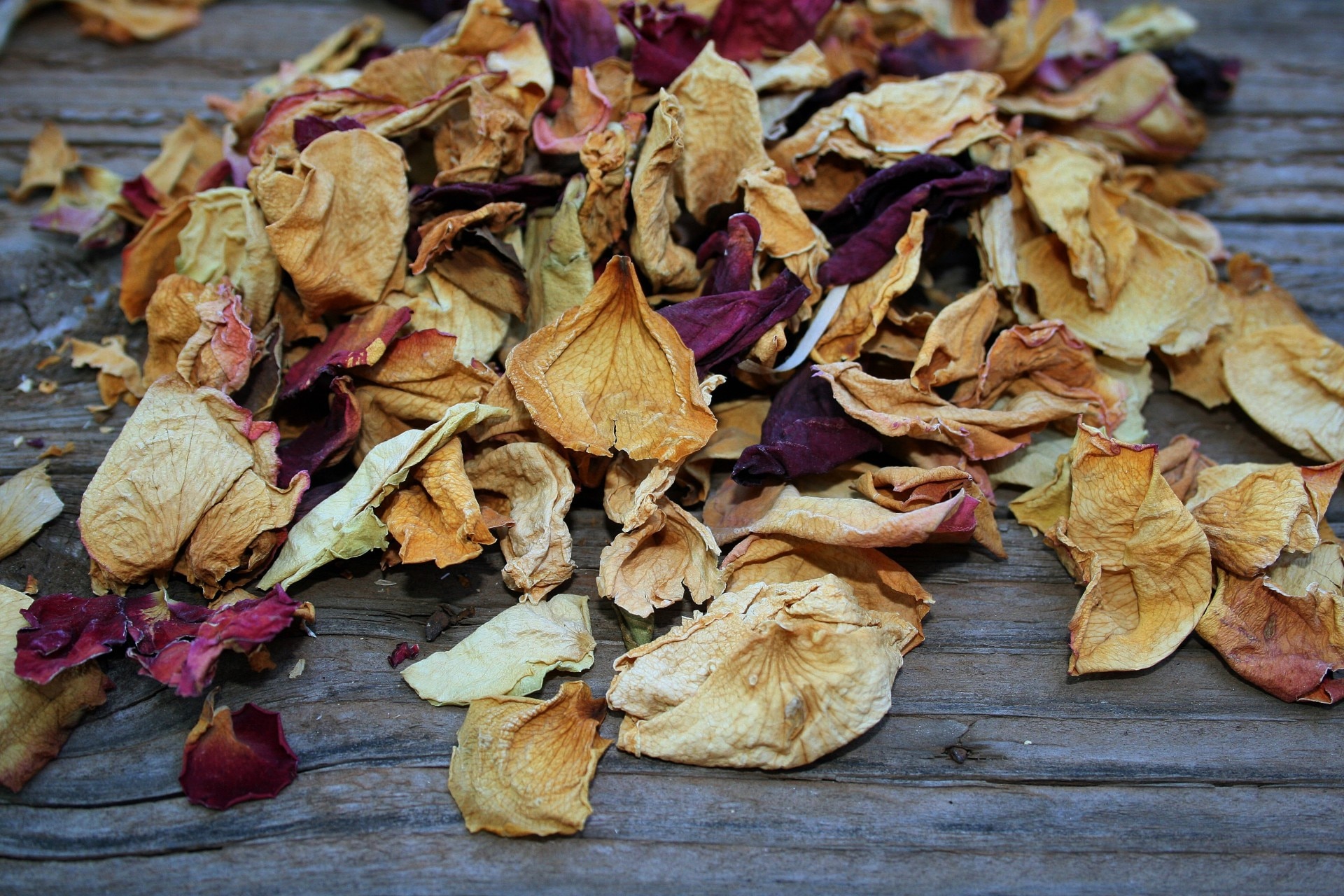 Dried rose petals for potpourri