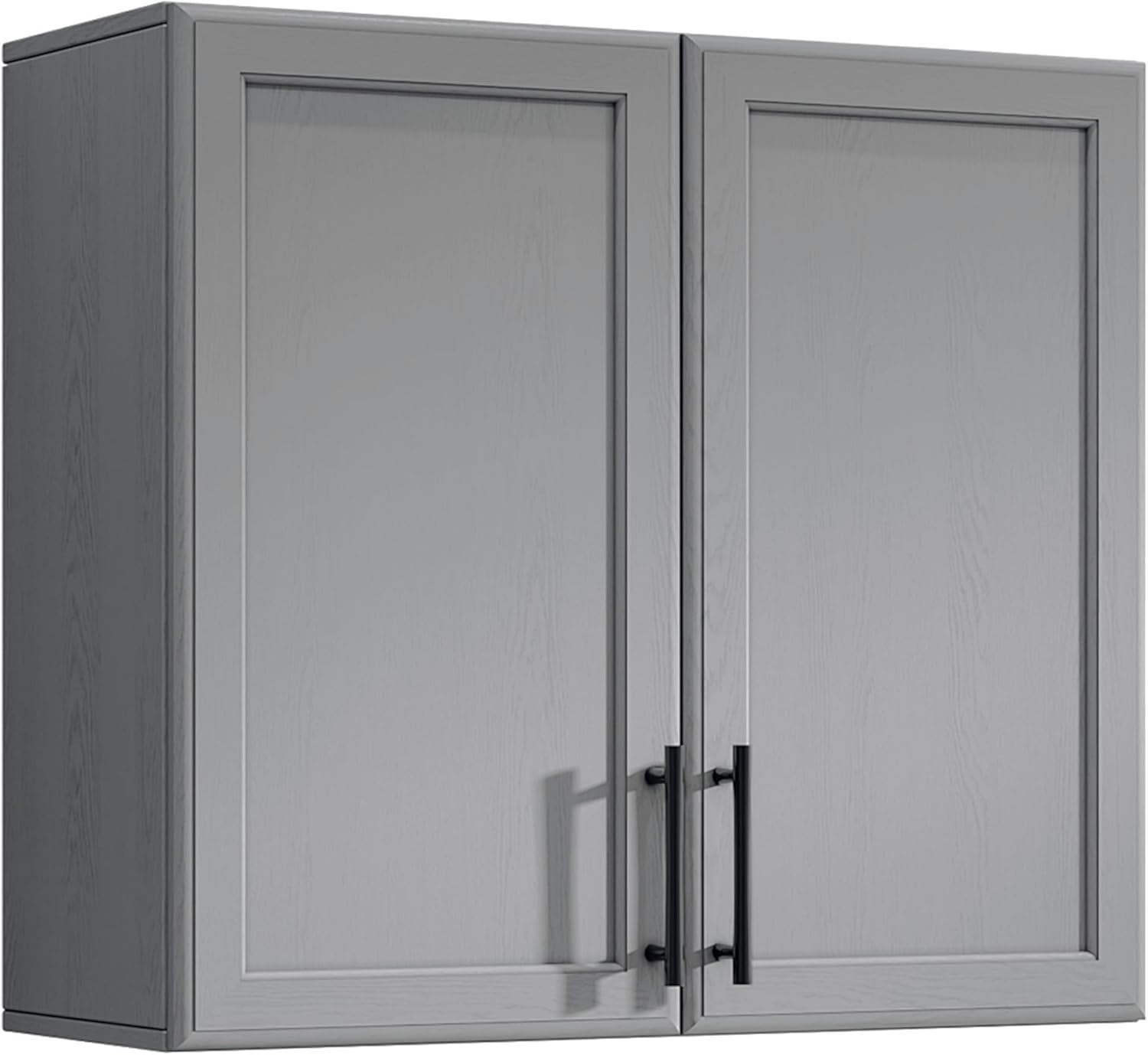 Kitchen Laundry Wall Amount Cabinet with Two Shaker Doors and Shelf