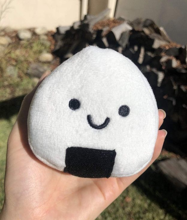 Soft Plush Small Cute and Cozy Sushi Dog Cat Bed with Two Sushi Crinkle Toys, Washer and Dryer Friendly, (Black)