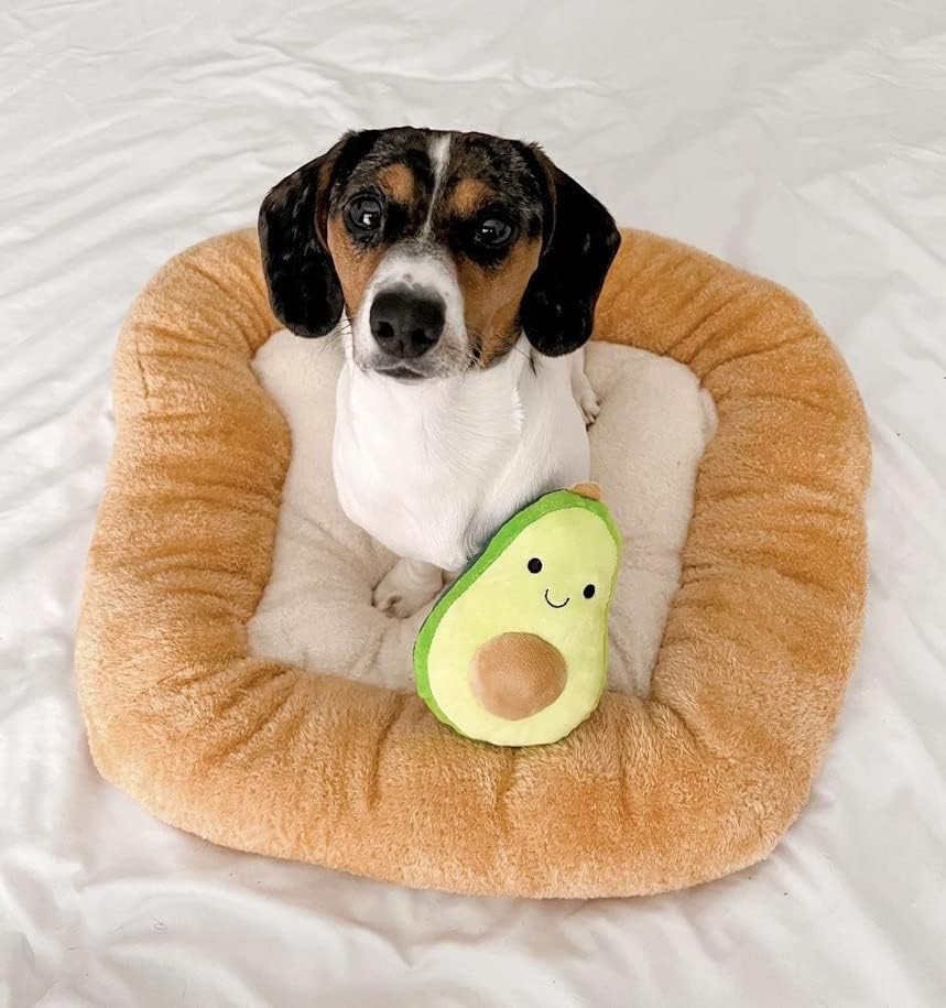 Soft Plush Small Cute and Cozy Food Dog Cat Bed, Washer and Dryer Friendly (Avocado Toast)
