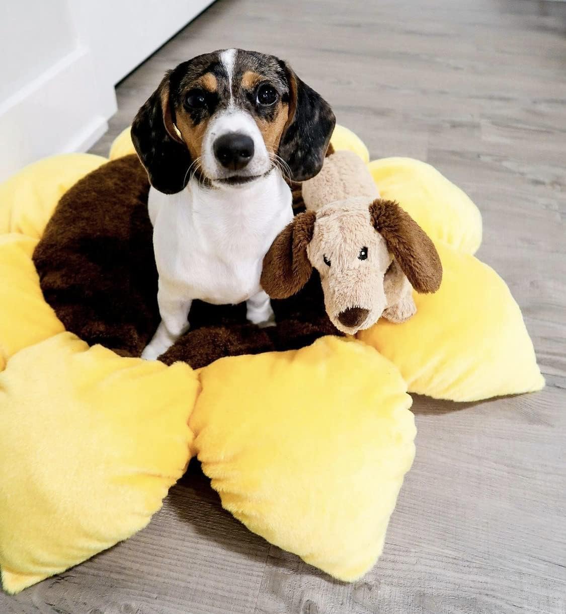 Soft Plush Small Cute and Cozy Nature Dog Cat Bed, Washer and Dryer Friendly (Sunflower)