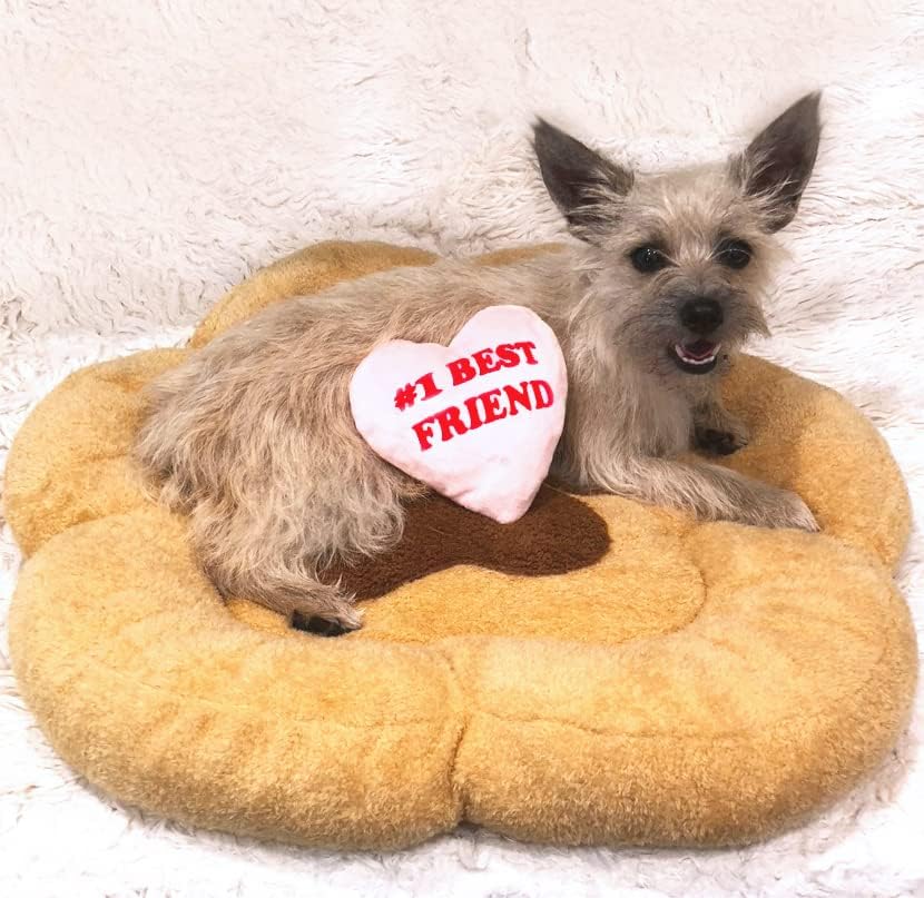 Soft Plush Small Cute and Cozy Nature Dog Cat Bed, Washer and Dryer Friendly (Paw)