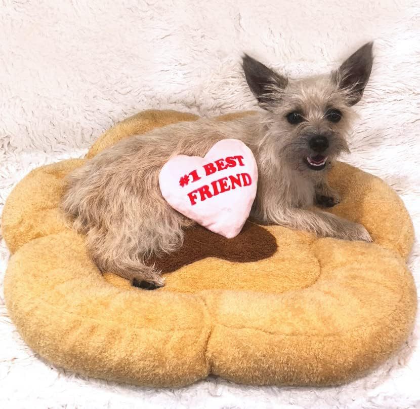 Soft Plush Small Cute and Cozy Nature Dog Cat Bed, Washer and Dryer Friendly (Paw)