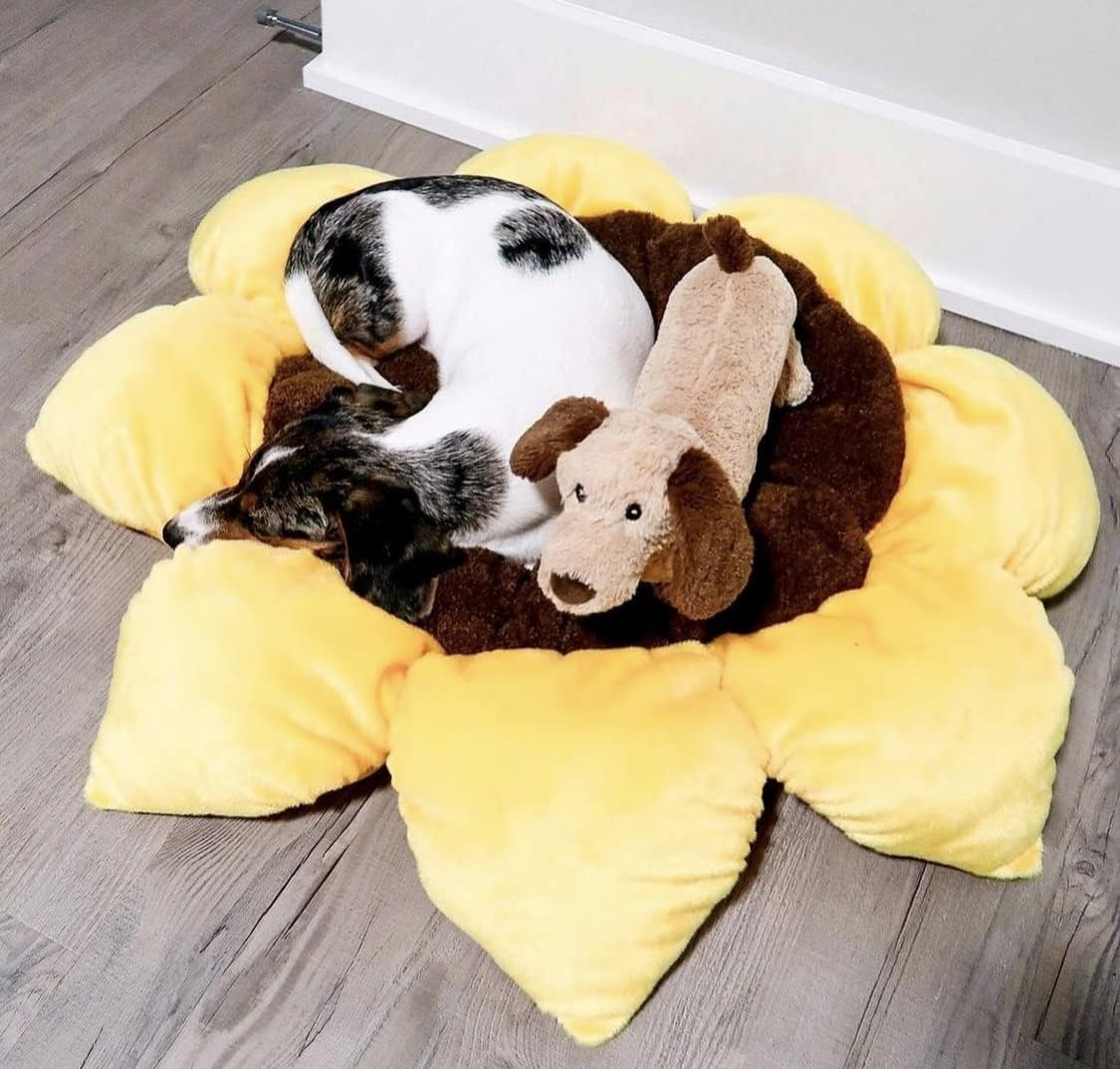 Soft Plush Small Cute and Cozy Nature Dog Cat Bed, Washer and Dryer Friendly (Sunflower)
