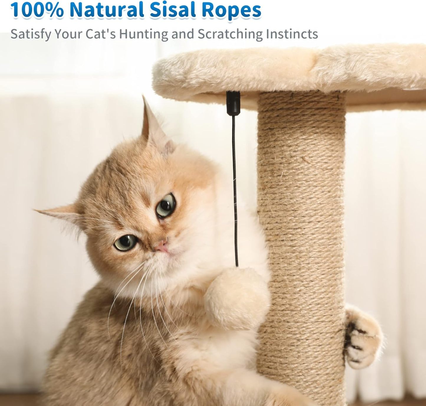 Cat Scratching Post, Cat Self Groomer for Indoor Cats, Cloud Soft Perch for Rest, 17.5" Tall Natural Sisal Scratcher Cat Grooming Interactive Ball Track Toys for Small Cats Kittens