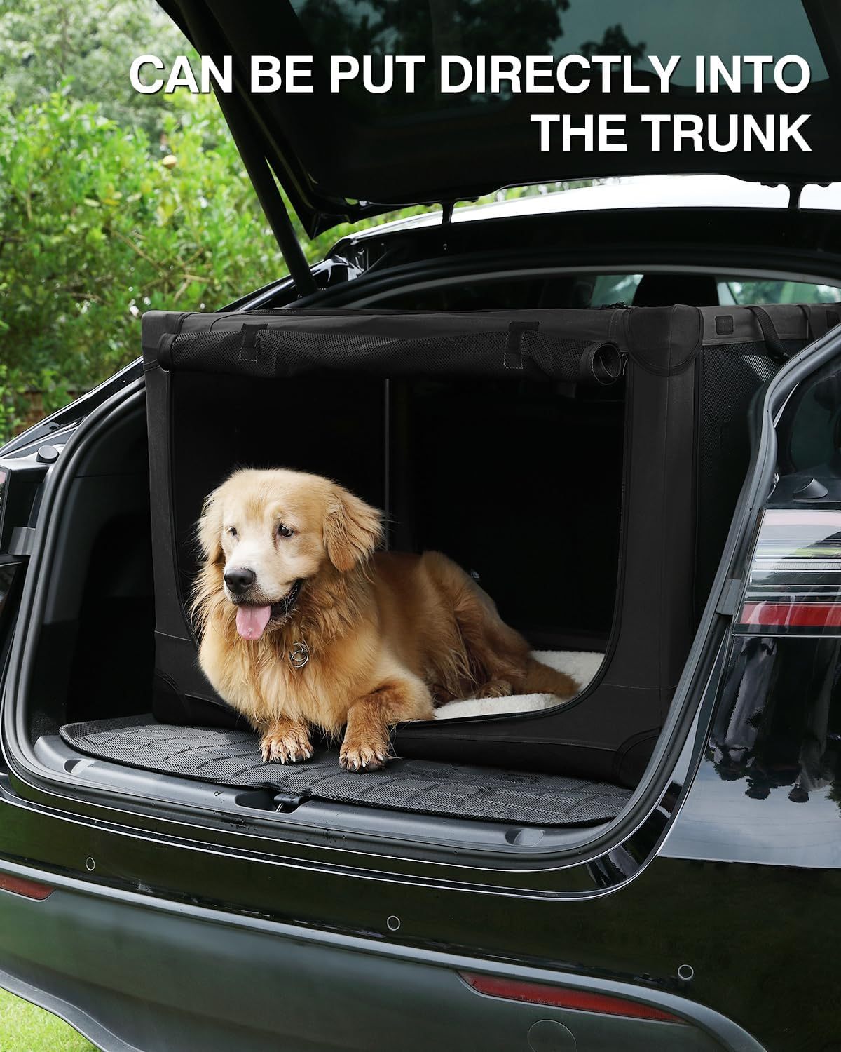 42 Inch Collapsible Travel Dog Crate for Medium Large Dogs, Portable Dog Crate 4-Door Foldable Soft Kennel with Chew-Proof Mesh Windows