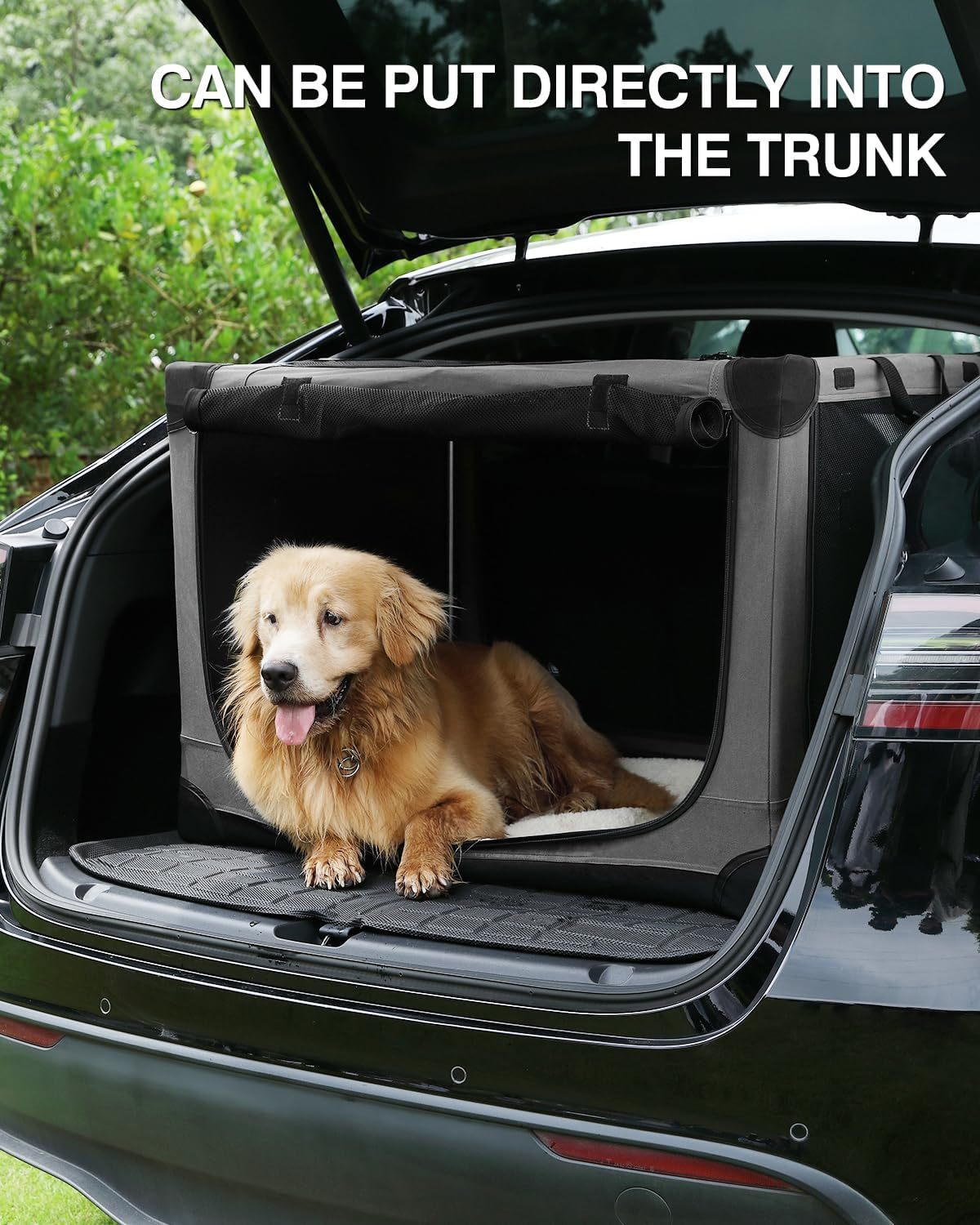 30 Inch Collapsible Travel Dog Crate for Medium Large Dogs, Portable Dog Crate 4-Door Foldable Soft Kennel with Chew-Proof Mesh Windows