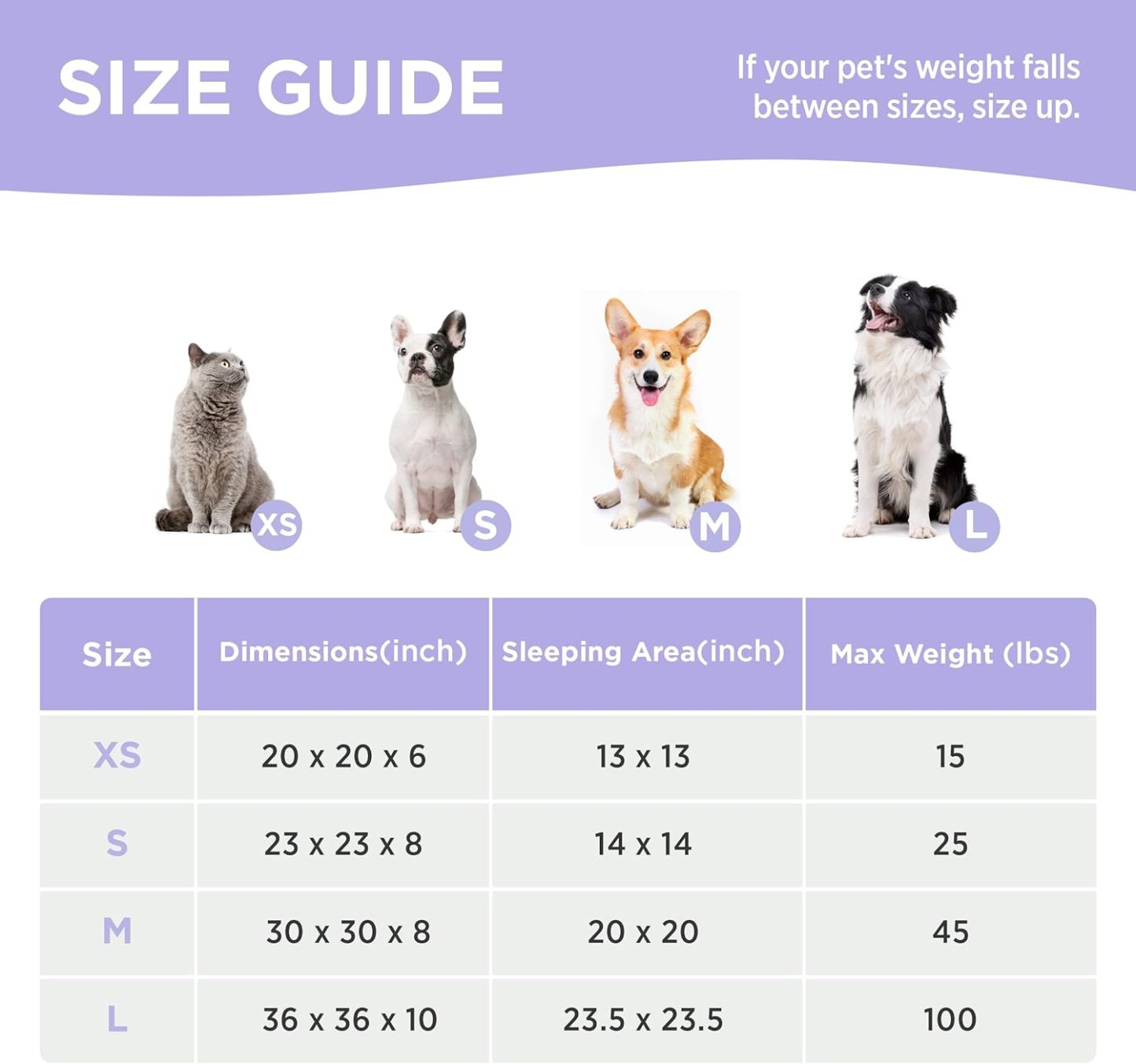 Donut Small Dog Bed - Round Cat Beds for Indoor Cats Anti-Anxiety Calming Pet Beds