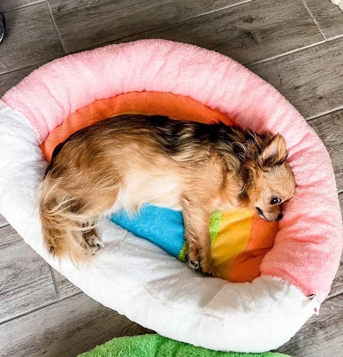 Soft Plush Small Cute and Cozy Nature Dog Cat Bed, Washer and Dryer Friendly (Rainbow)