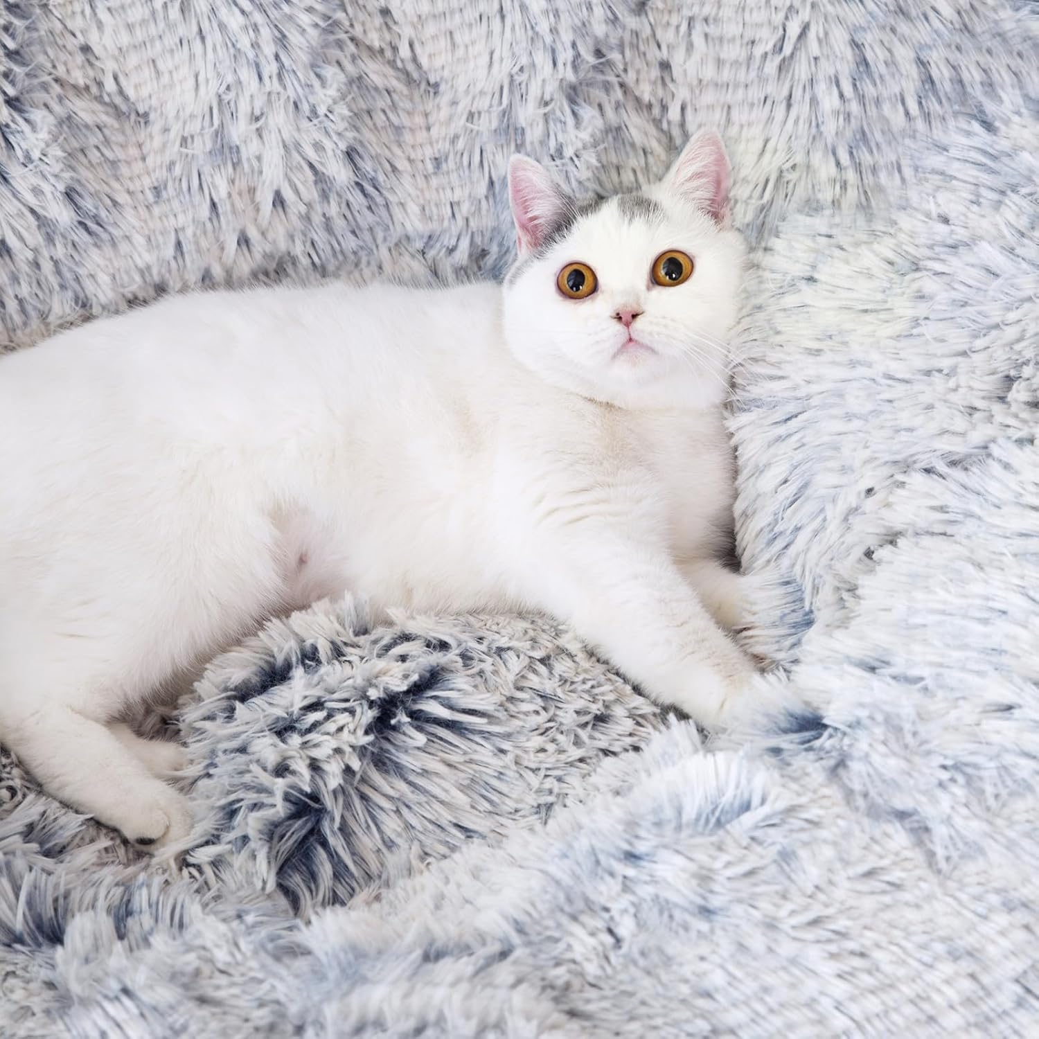 Warm Fluffy Plush Cat Dog Tunnel Bed with Washable Cushion-Big Tube Playground Toys 3 FT Diameter Longer Crinkle Collapsible 3 Way, for Indoor Cat Kitty Kitten Puppy Rabbit Ferret Blue