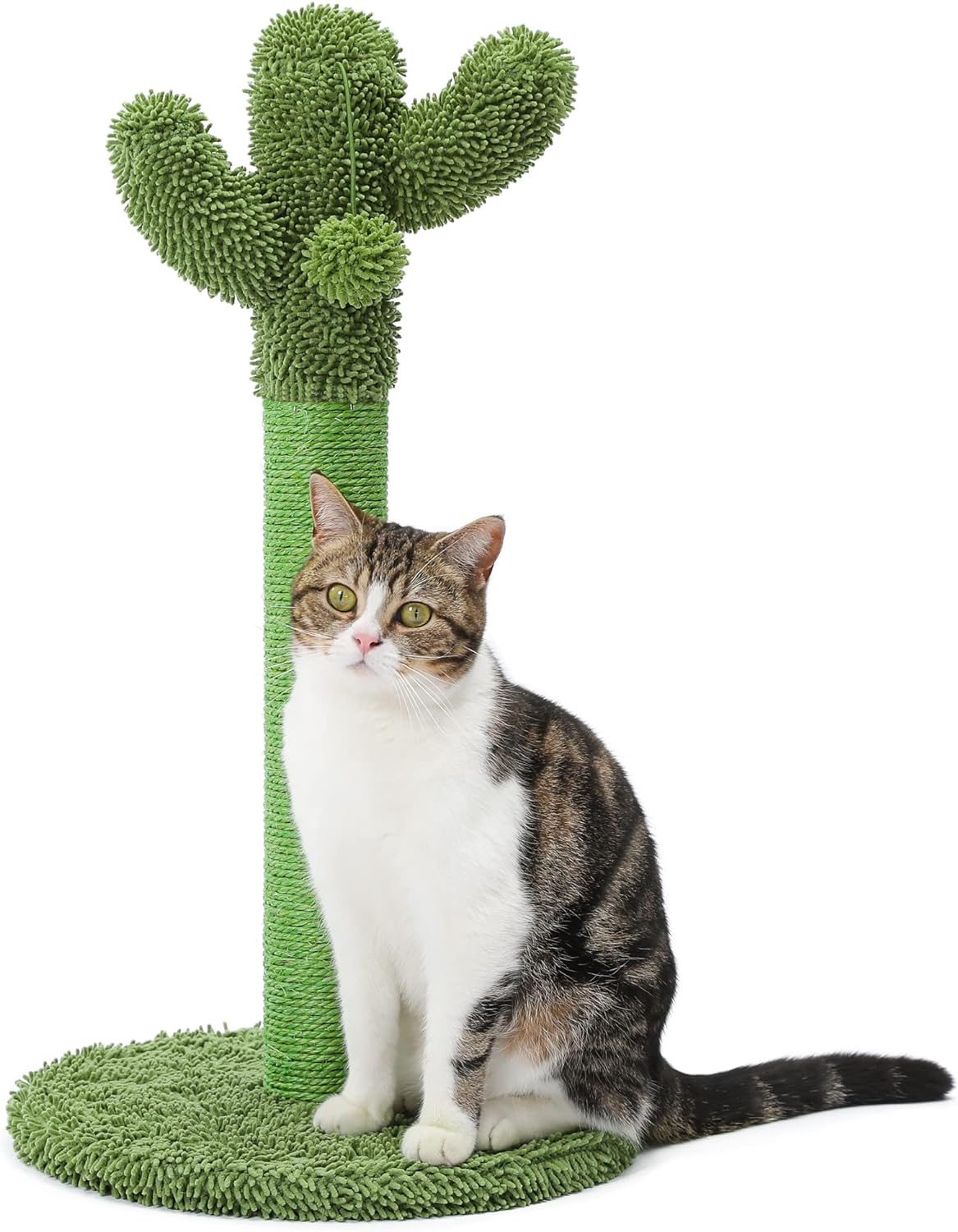 Cat Scratching Post, 21.7" Cactus Cat Scratcher Kitten Scratching Post with Natural Sisal Rope for Indoor Cats Claw Scratcher