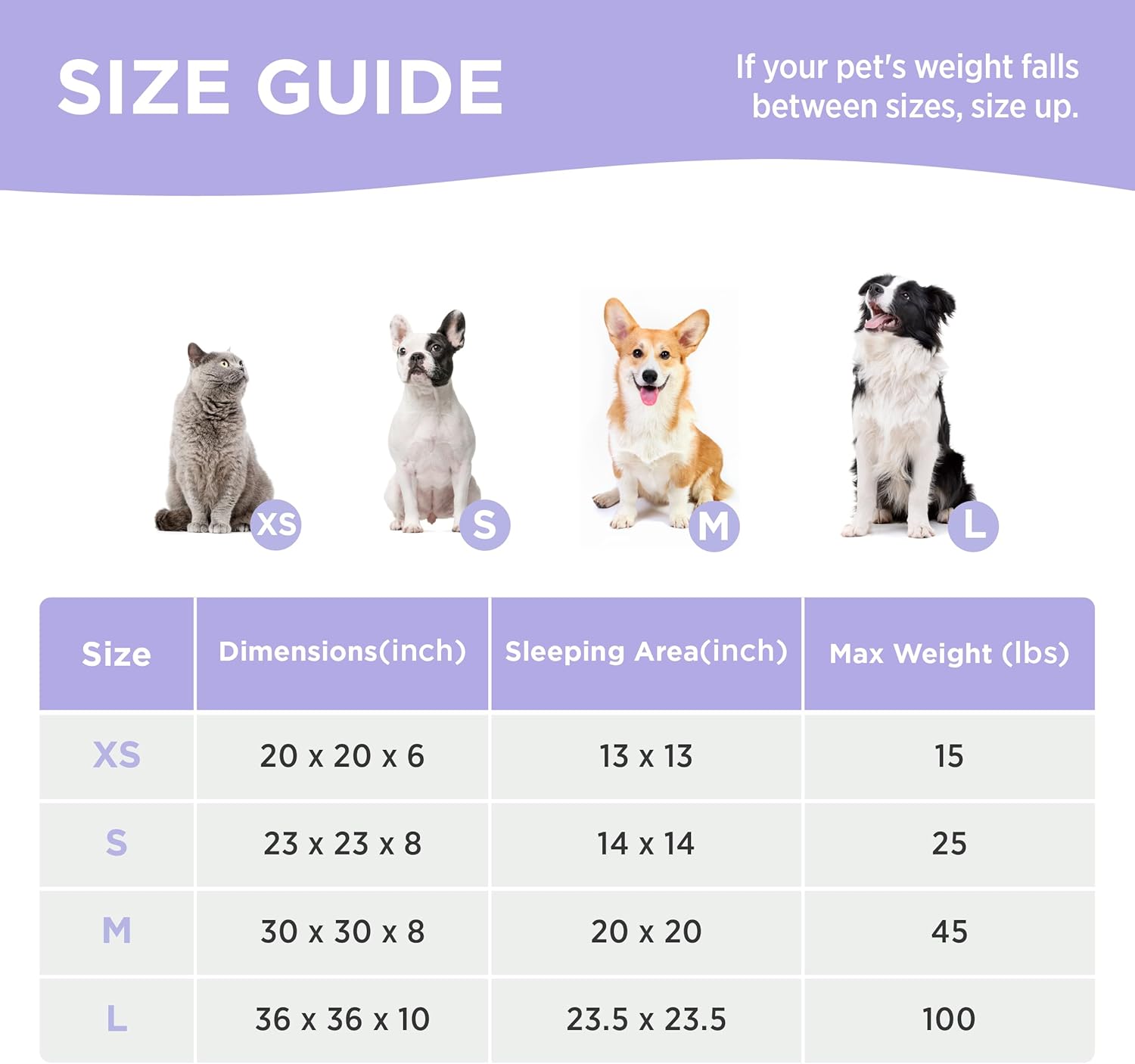 Donut Small Dog Bed - Round Cat Beds for Indoor Cats Anti-Anxiety Calming Pet Beds, Washable Cute Modern Beds with Teddy Sherpa Plush & Anti Slip Bottom, 36 Inch, Galaxy Grey