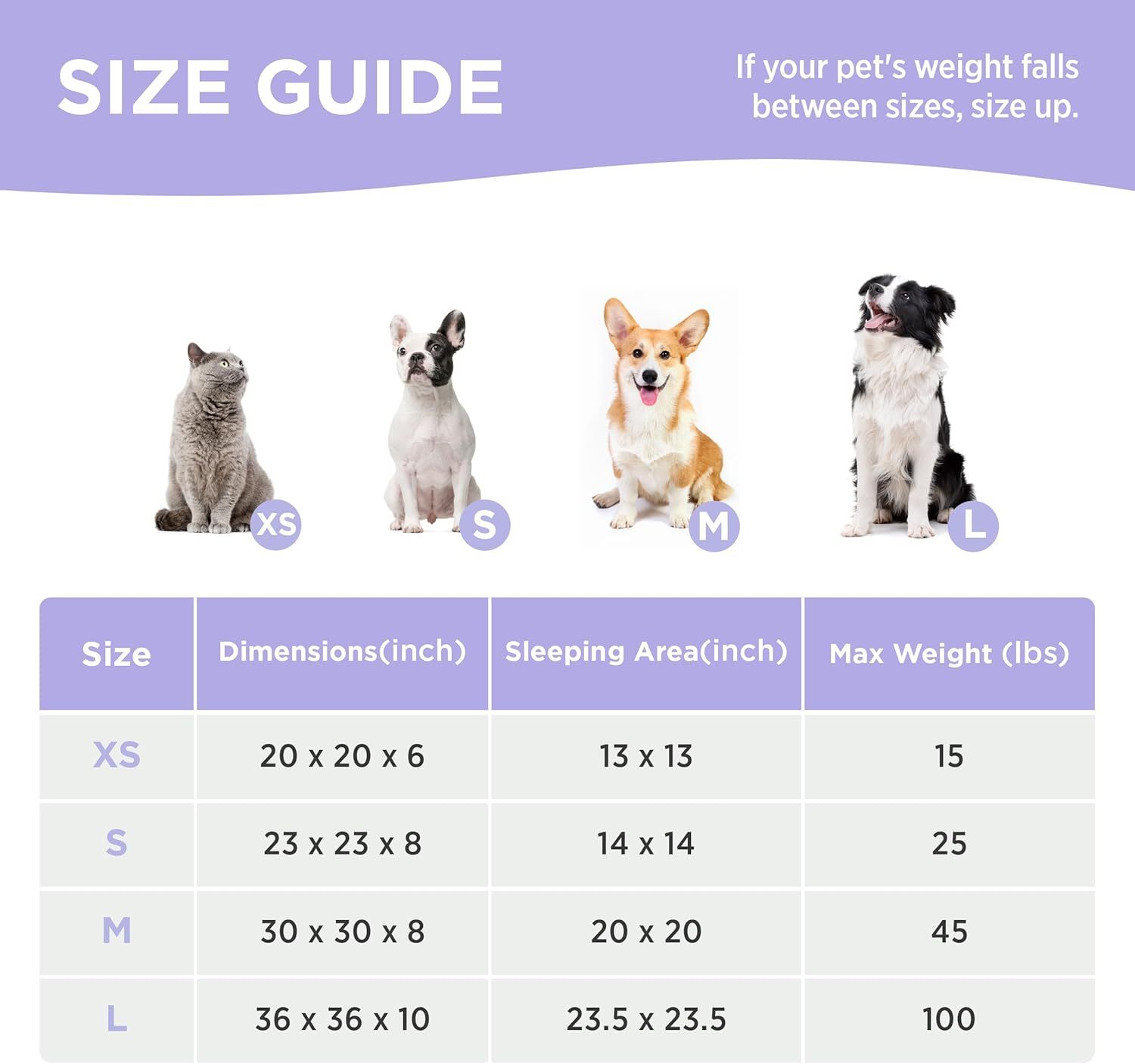 Donut Small Dog Bed - Round Cat Beds for Indoor Cats Anti-Anxiety Calming Pet Beds, Washable Cute Modern Beds with Teddy Sherpa Plush & Anti Slip Bottom, 36 Inch, Galaxy Grey