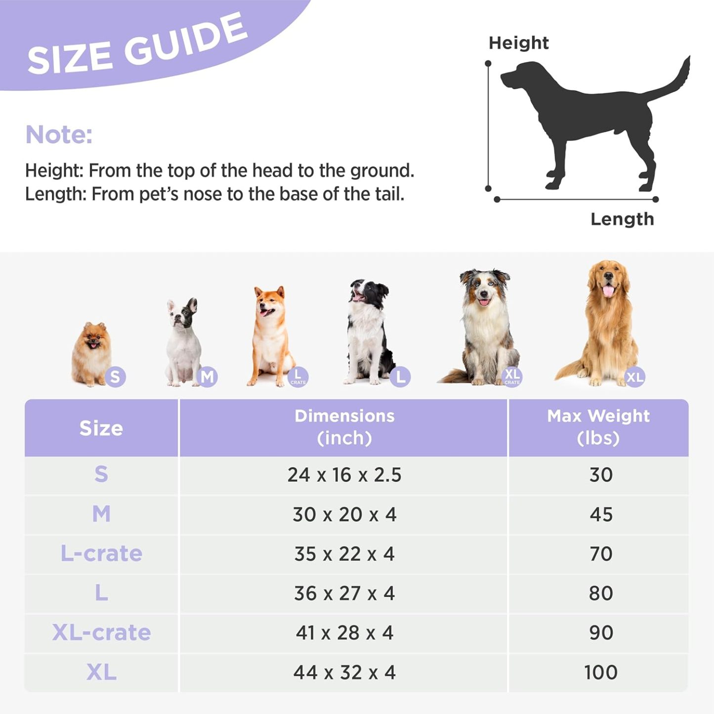 Small Dog Beds-Thick Shredded Chopped Foam Pet Bed, Dog Bed Indoor with Removable Cover, Cute Modern Fuzzy Plush & Anti Slip Bottom(24'x16', Blue)