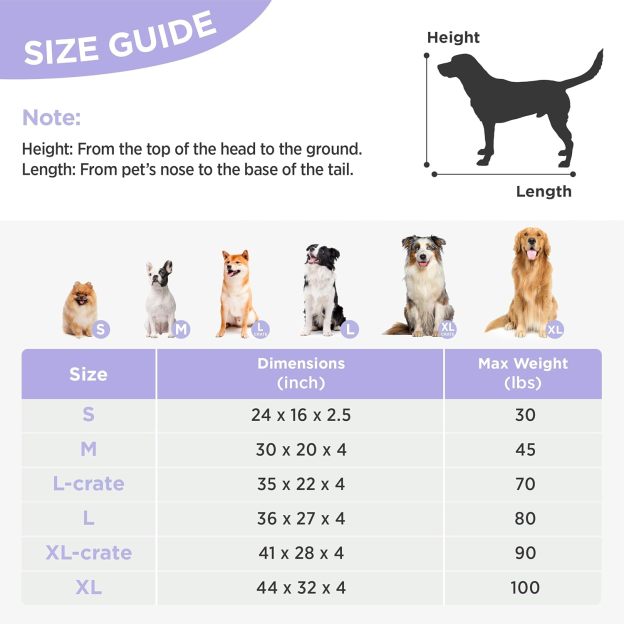 Small Dog Beds-Thick Shredded Chopped Foam Pet Bed, Dog Bed Indoor with Removable Cover, Cute Modern Fuzzy Plush & Anti Slip Bottom(24'x16', Blue)